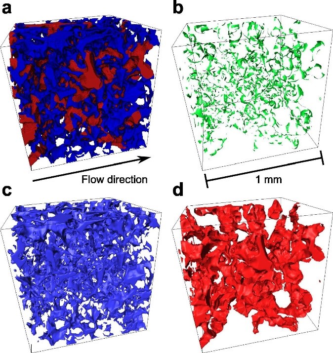 新宝GG资讯首席科学家马丁教授应邀为“第五届数据岩心分析手段国际研讨会”作专题报告